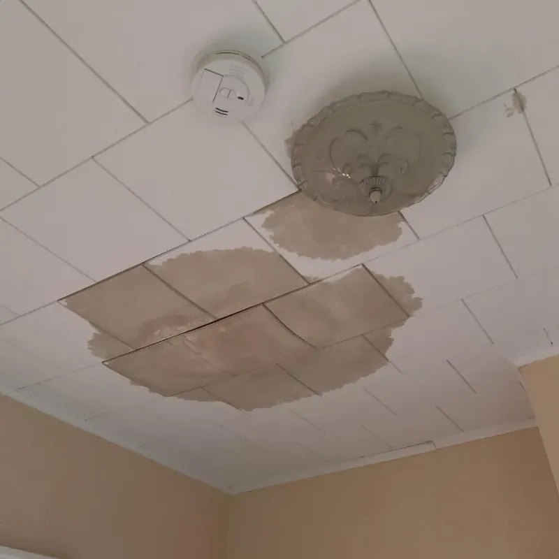 Ceiling Water Damage Repair in Clarksville, IA