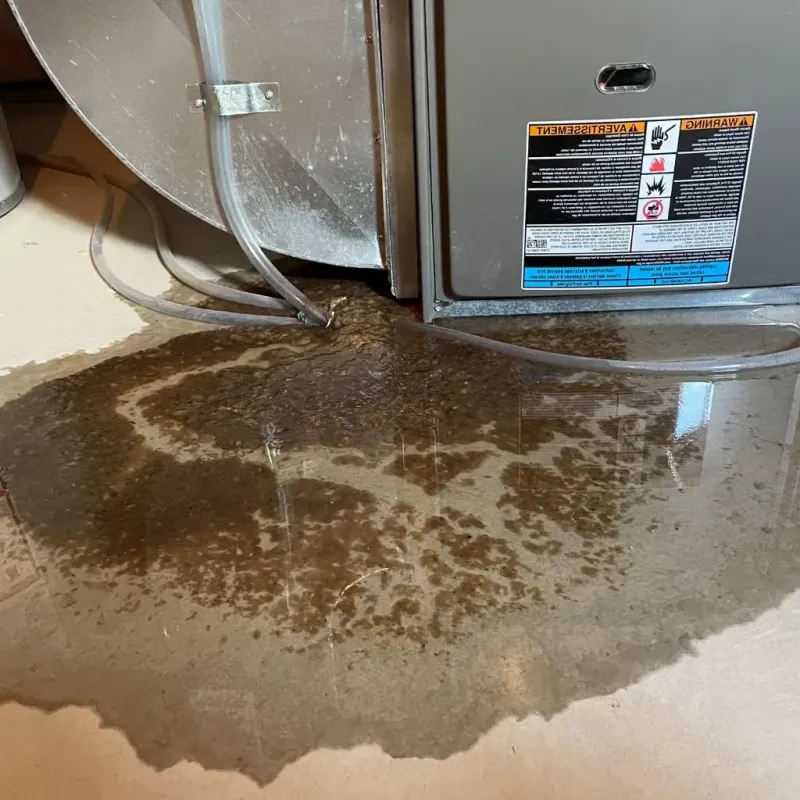 Pipe Burst and Leak Restoration in Clarksville, IA