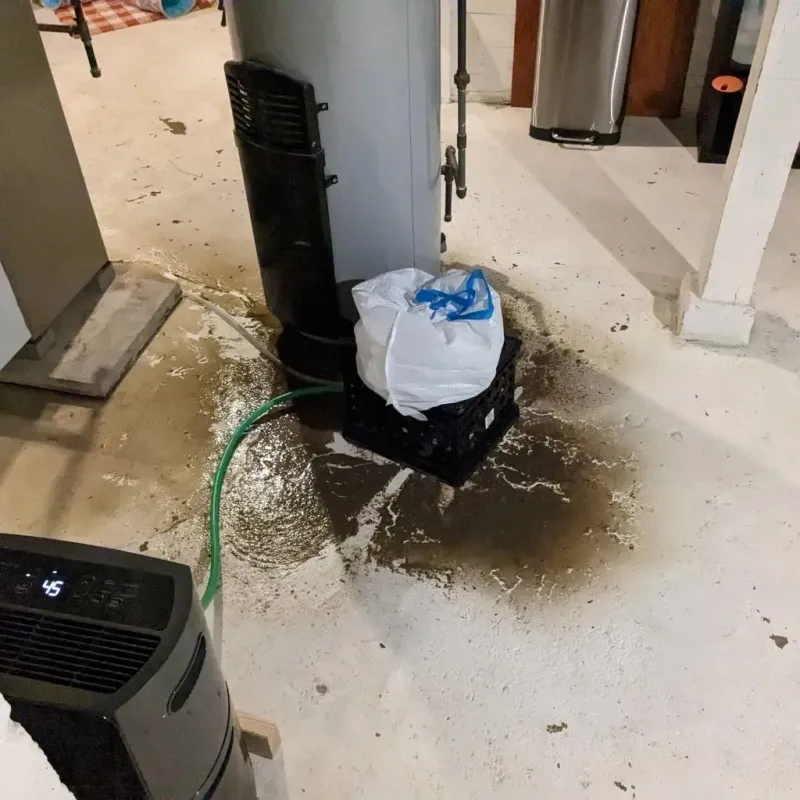Sewage Backup Cleanup Service in Clarksville, IA